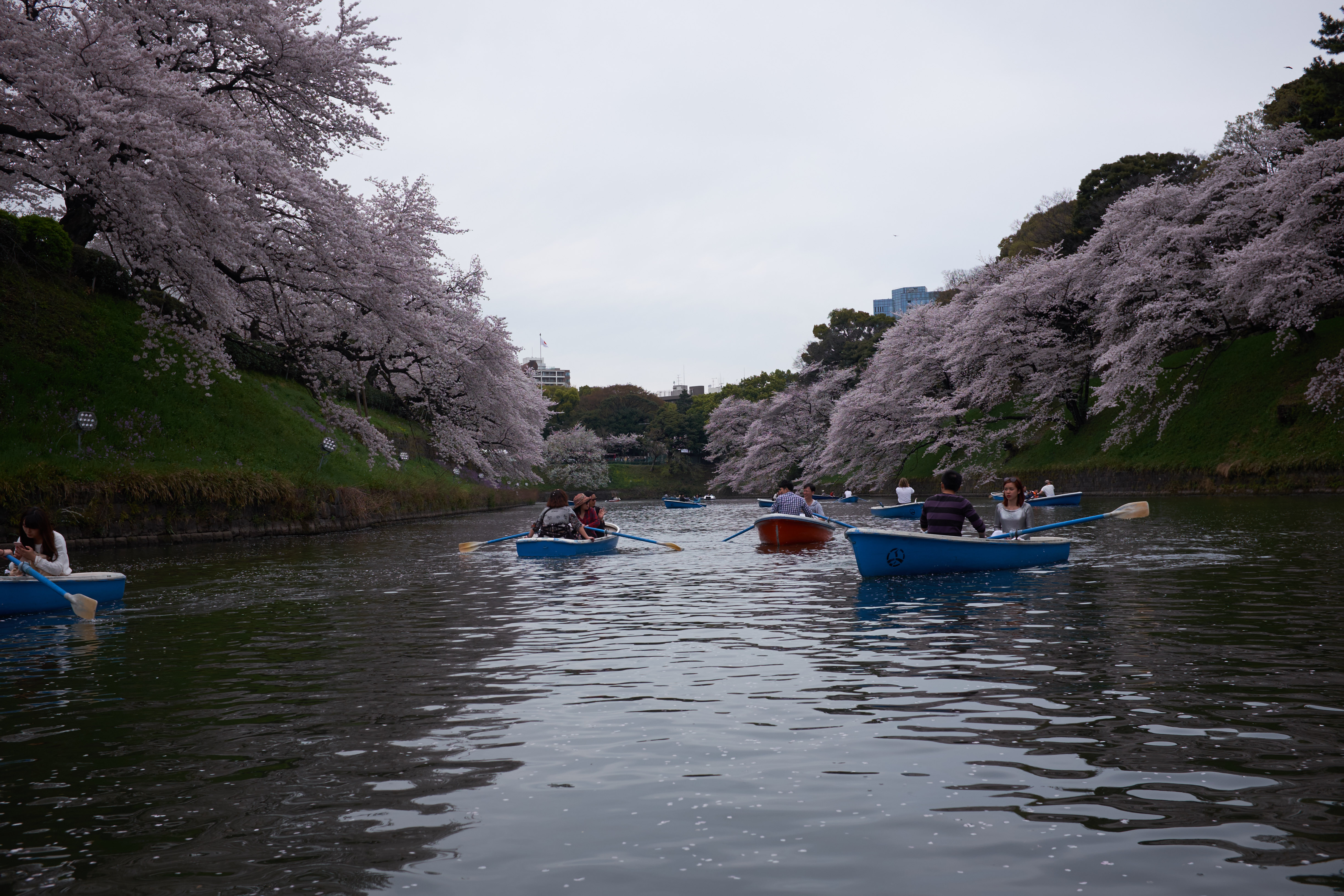 Sur l'eau avec Amour © Aventure Japon 2016