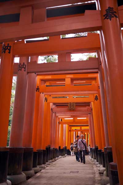 Les fameux Torii 鳥居 du temple Fushimi Inari Taisha 伏見稲荷大社 © Aventure Japon 2016