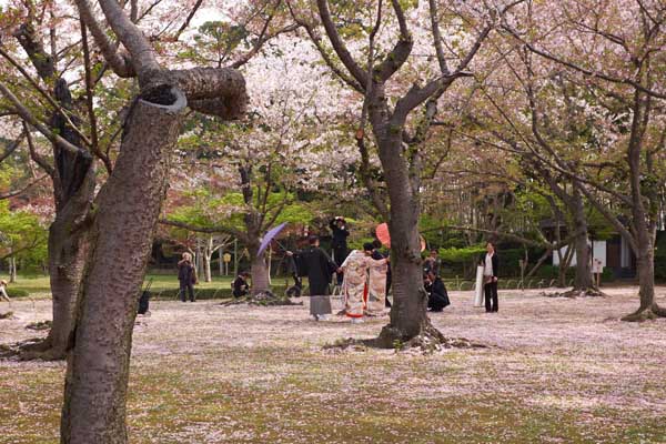 Les mariés au Kôrakuen 後楽園 d'Okayama 岡山 © Aventure Japon 2016