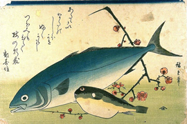 Estampe d’Utagawa Hiroshige 歌川広重(1797-1858) représentant deux poissons : une sériole, inada イナダ, et un fugu フグ, 1832 © Connecticut College