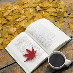 L’automne de la lecture, dokusho no aki 読書の秋