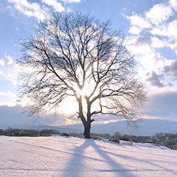 Vue d’hiver depuis la base du mont Asama 浅間山 © Nabanatei blog