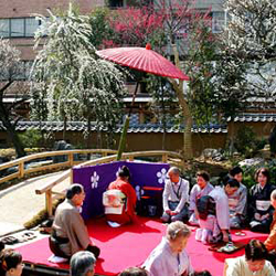 Cérémonies lors de la fête de l'abricotier du Japon, umé matsuri 梅まつり au temple Yushima tenman 湯島天満宮 © Yushima tenman-gu 湯島天満宮 Cérémonies lors de la fête de l'abricotier du Japon, umé matsuri 梅まつり au temple Yushima tenman 湯島天満宮 © Yushima tenman-gu 湯島天満宮