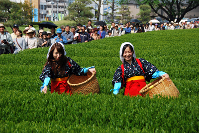 La fête de la récolte du nouveau thé, Hachi-jû-hachi ya shincha matsuri 八十八夜新茶まつり, à Iruma © Ville d’Iruma