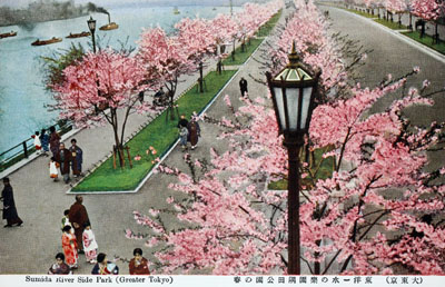 Ancienne carte postale montrant le Parc Sumida, Sumida kôen 隅田公園, le long du fleuve Sumida 隅田川