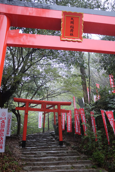 A l'écart du temple se trouvent plusieurs torii