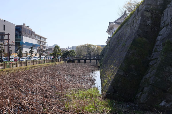 Les douves, seuls vestiges du chateau de Kagoshima 